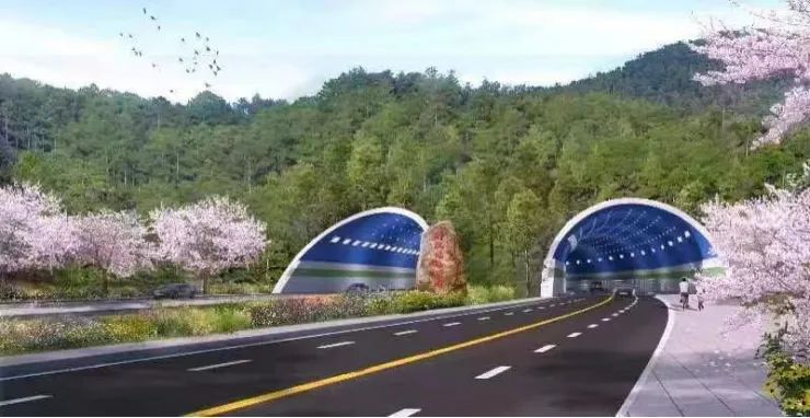 210 武义县东南工业园产城示范基地建设项目—解放街南延一期（樟树脚—中盛路）.jpg